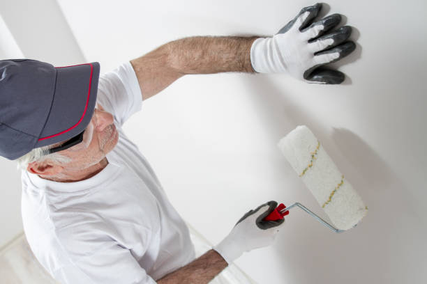 Best Real Estate Mold Inspection  in Perryville, MO