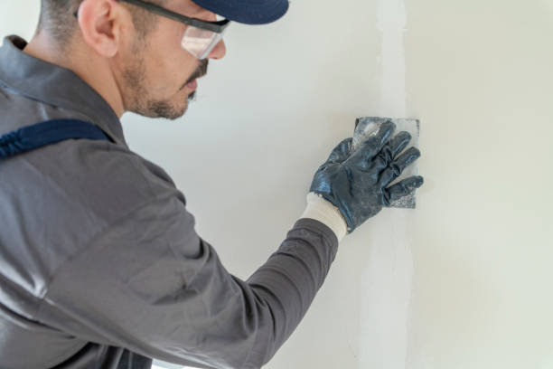 Best Water Damage & Mold Remediation  in Perryville, MO