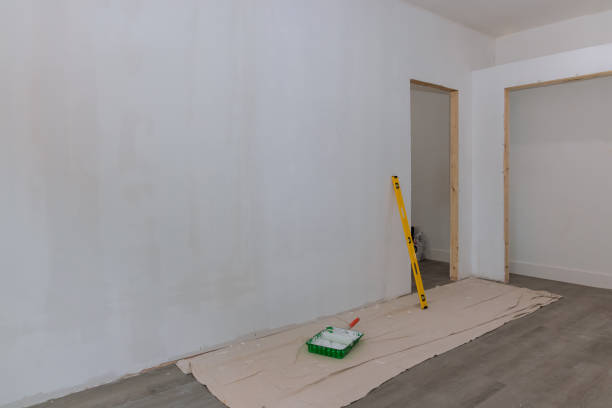 Reliable Perryville, MO Mold Removal Solutions