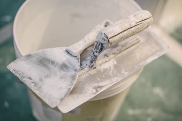 Best Post-Construction Mold Inspection  in Perryville, MO