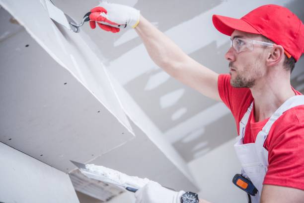 Best Dehumidification Services  in Perryville, MO