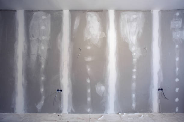 Best Airborne Mold Testing  in Perryville, MO